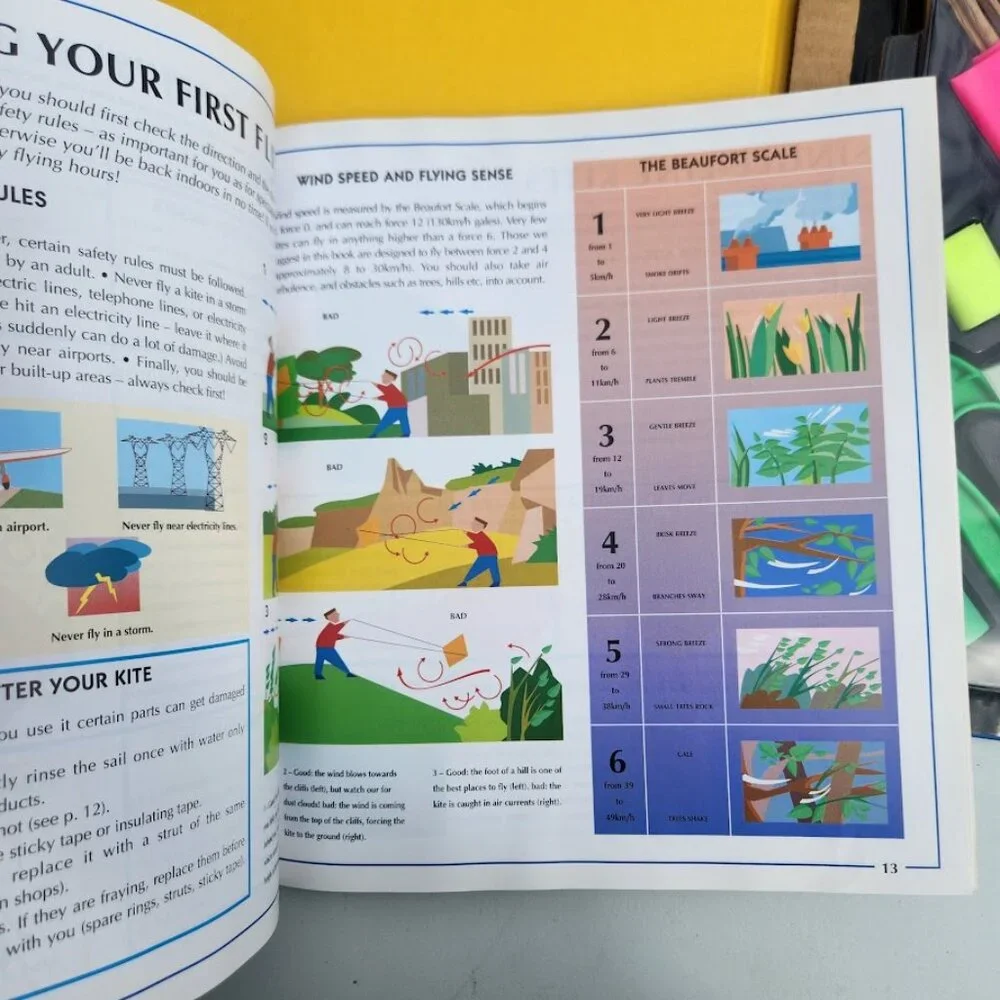 Scholastic new kites